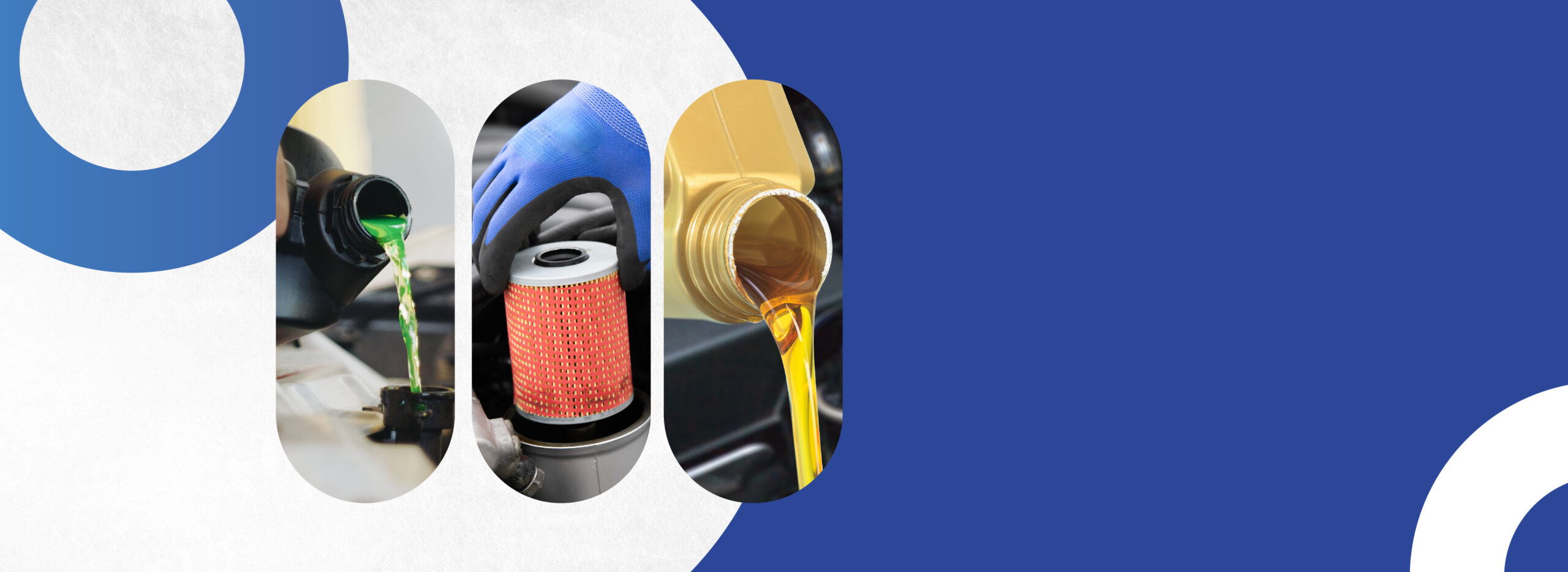 BANNERS PAGINA WEB 2025 (1)_Mesa de trabajo 1 copia 5